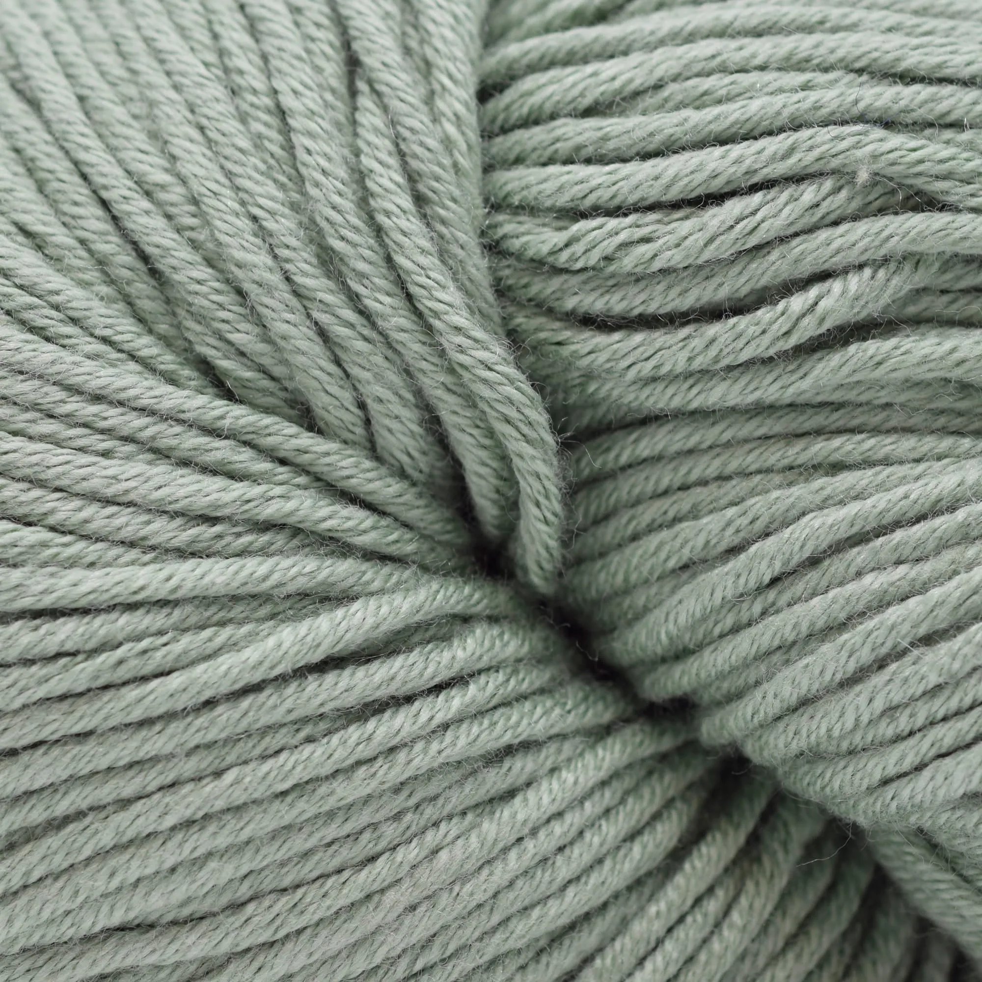 Modern Cotton