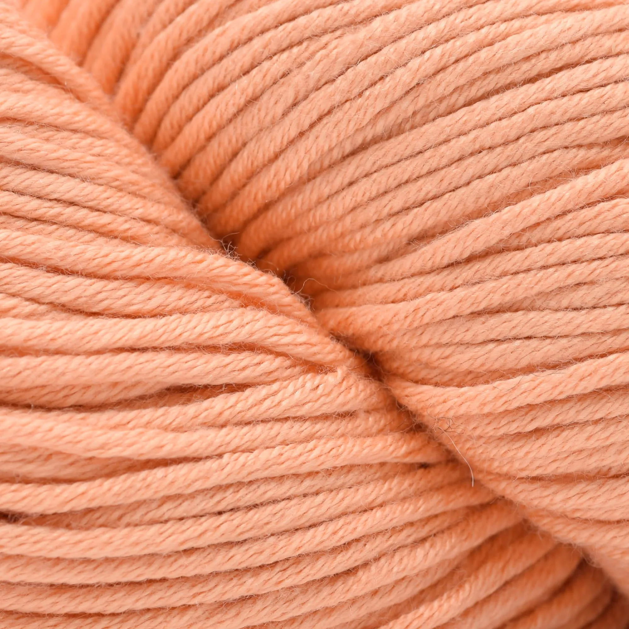 Modern Cotton